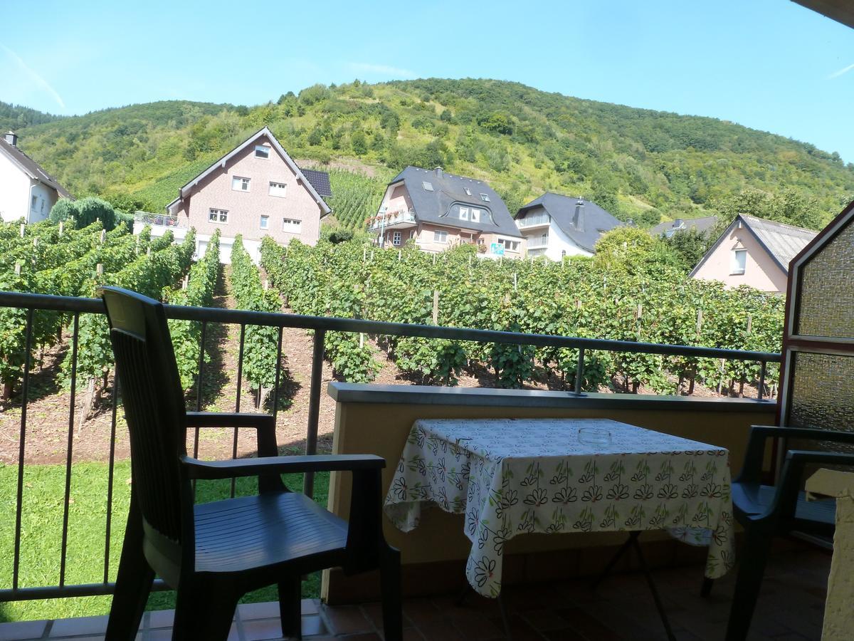 Wein- Und Gaestehaus St. Aldegundishof Sankt Aldegund Εξωτερικό φωτογραφία